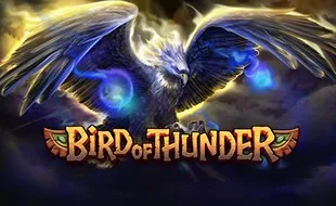 รูปเกม Bird of Thunder - นกฟ้าร้อง